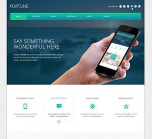 the-fortune-theme